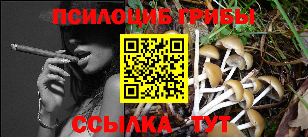 APVP Ахтубинск